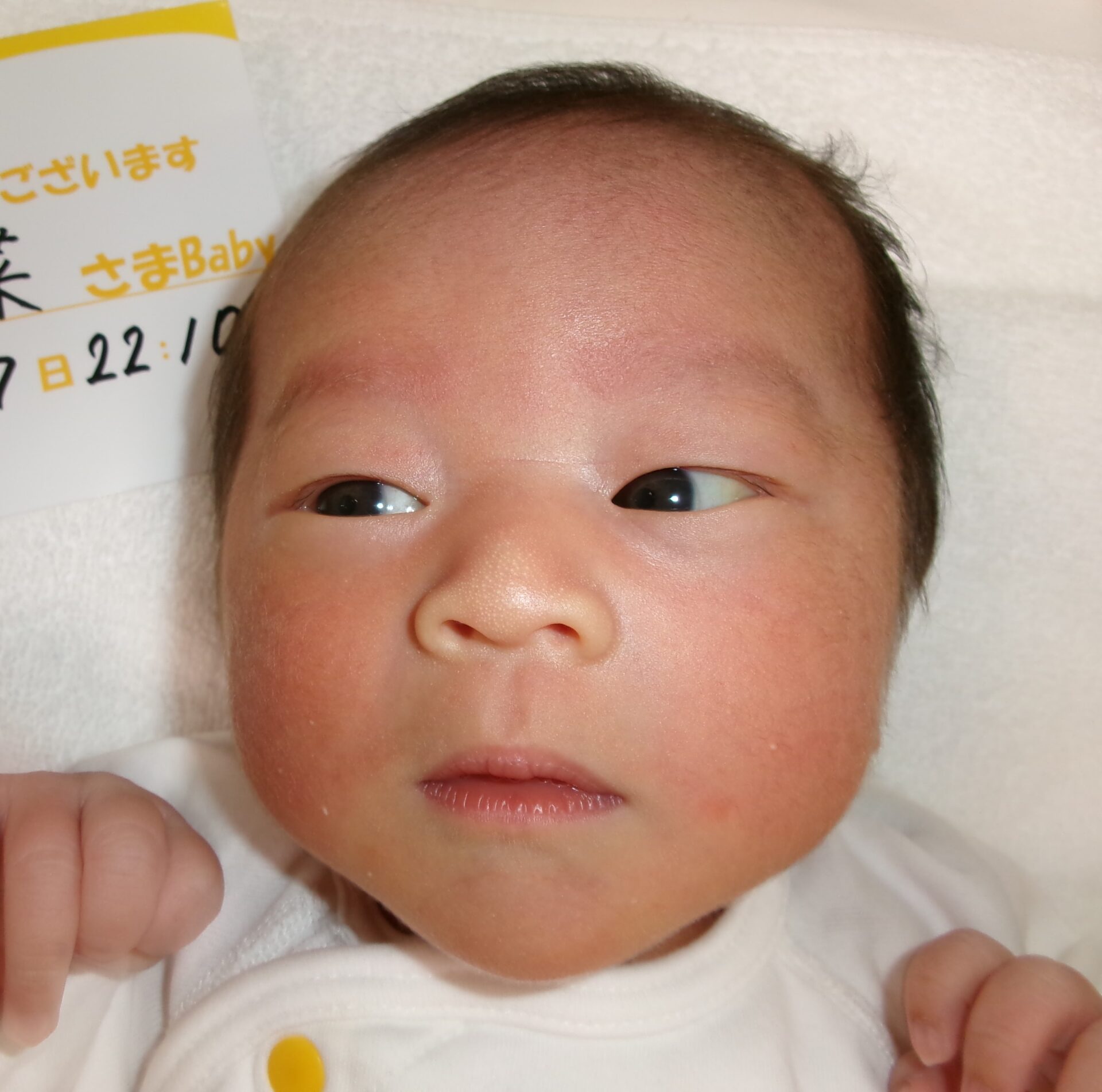 一条愛菜サマBaby♀