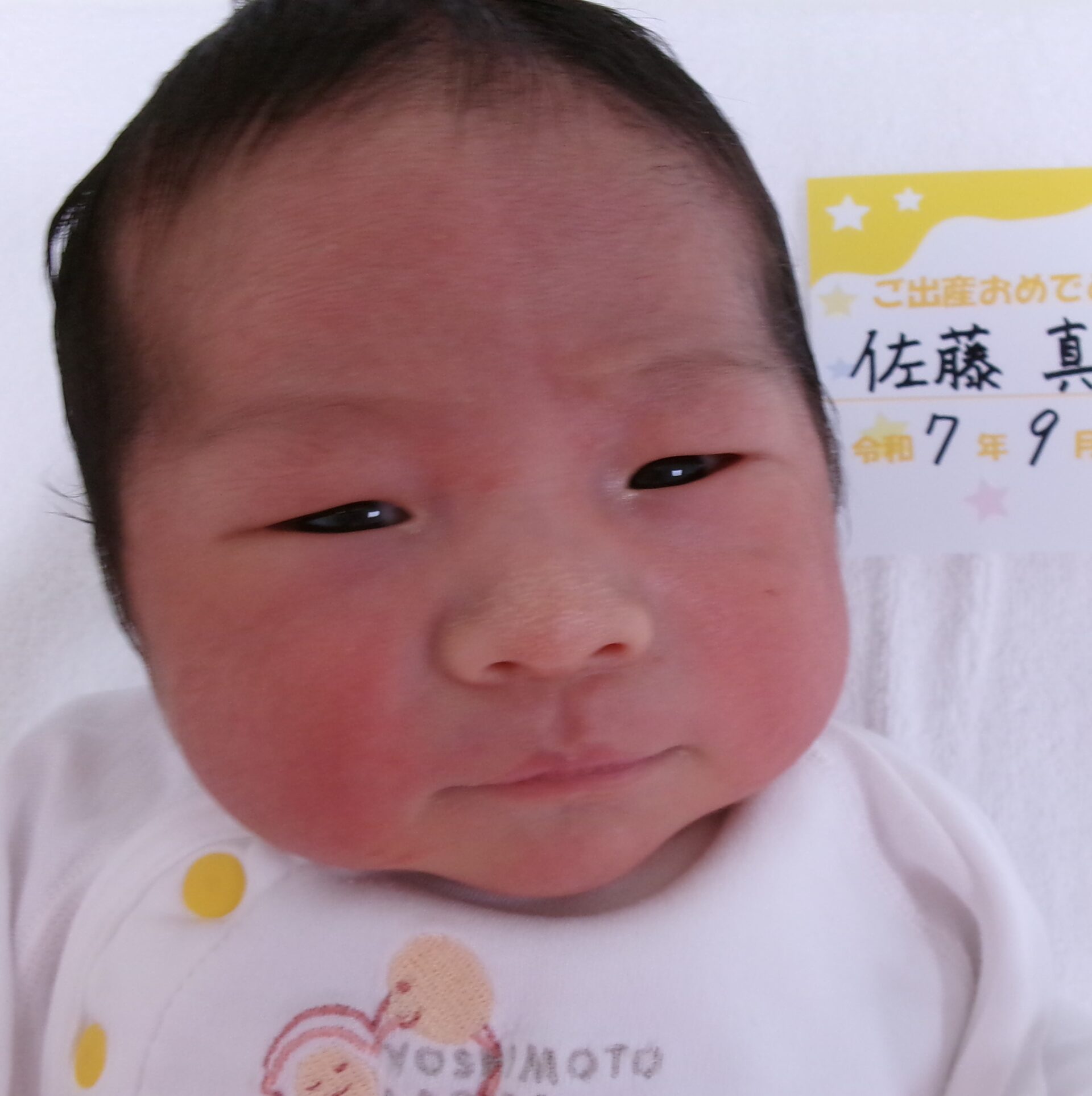 佐藤真穂サマBaby♂