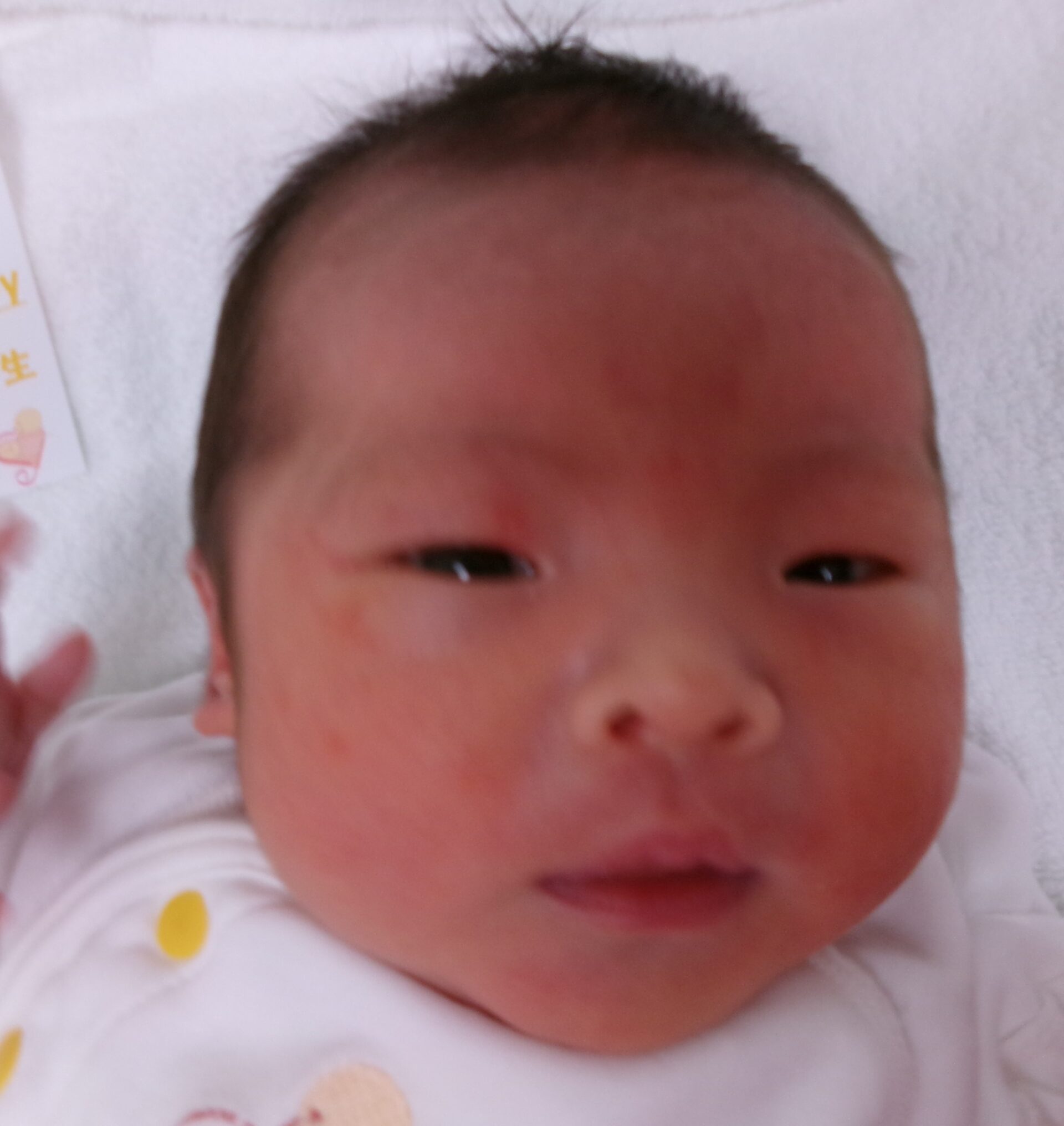 吉田美羽サマBaby♀