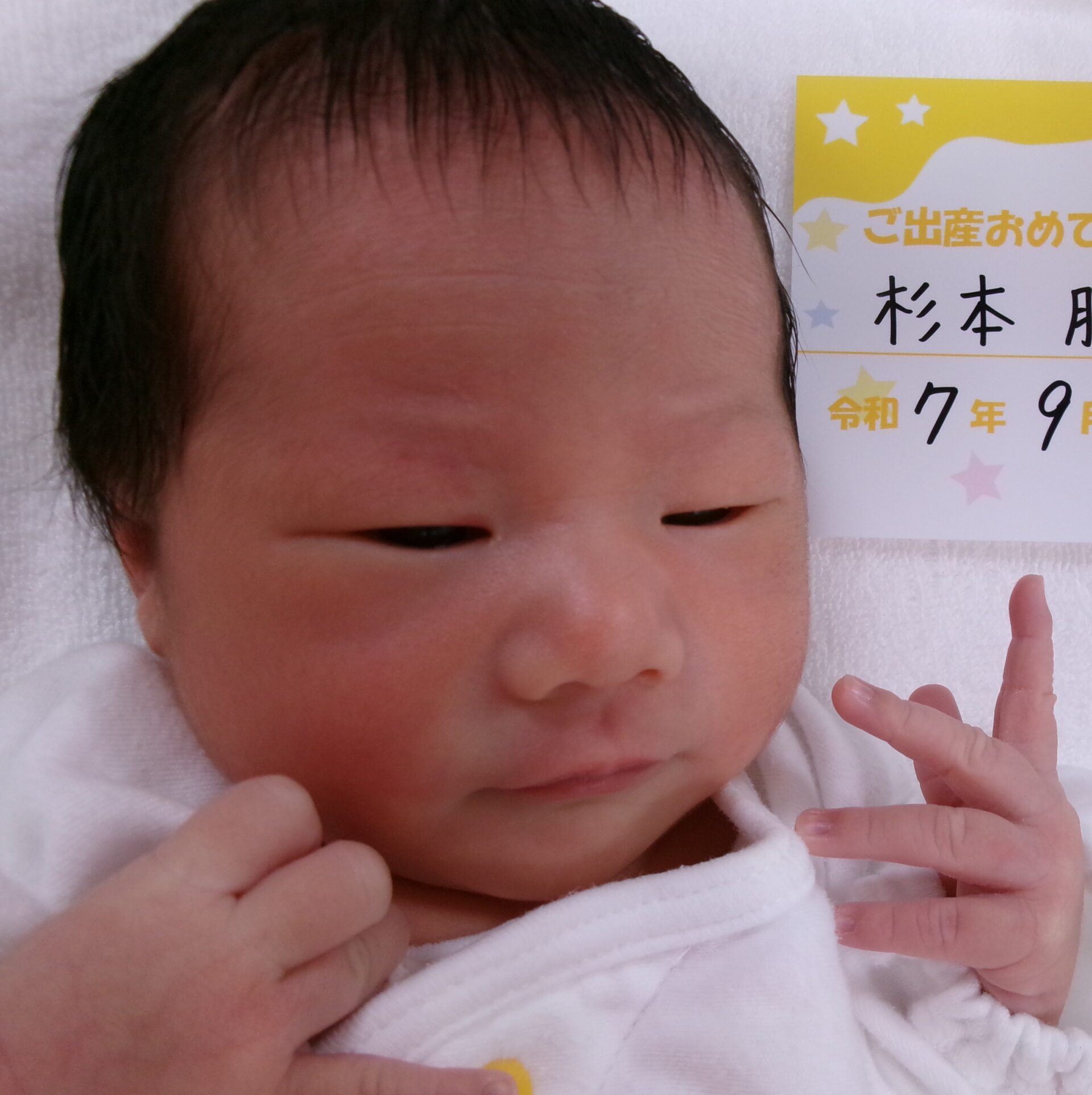 杉本朋美サマBaby♀