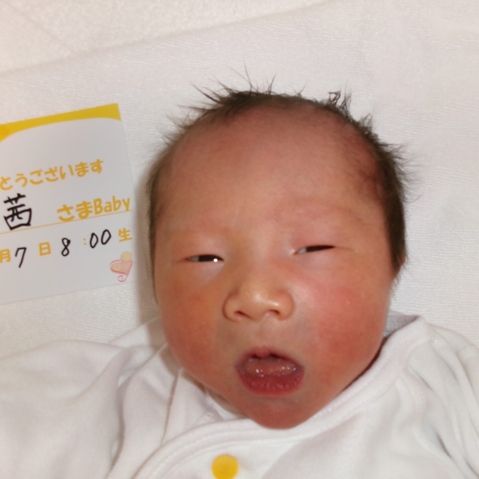 長谷川 茜サマBaby♀