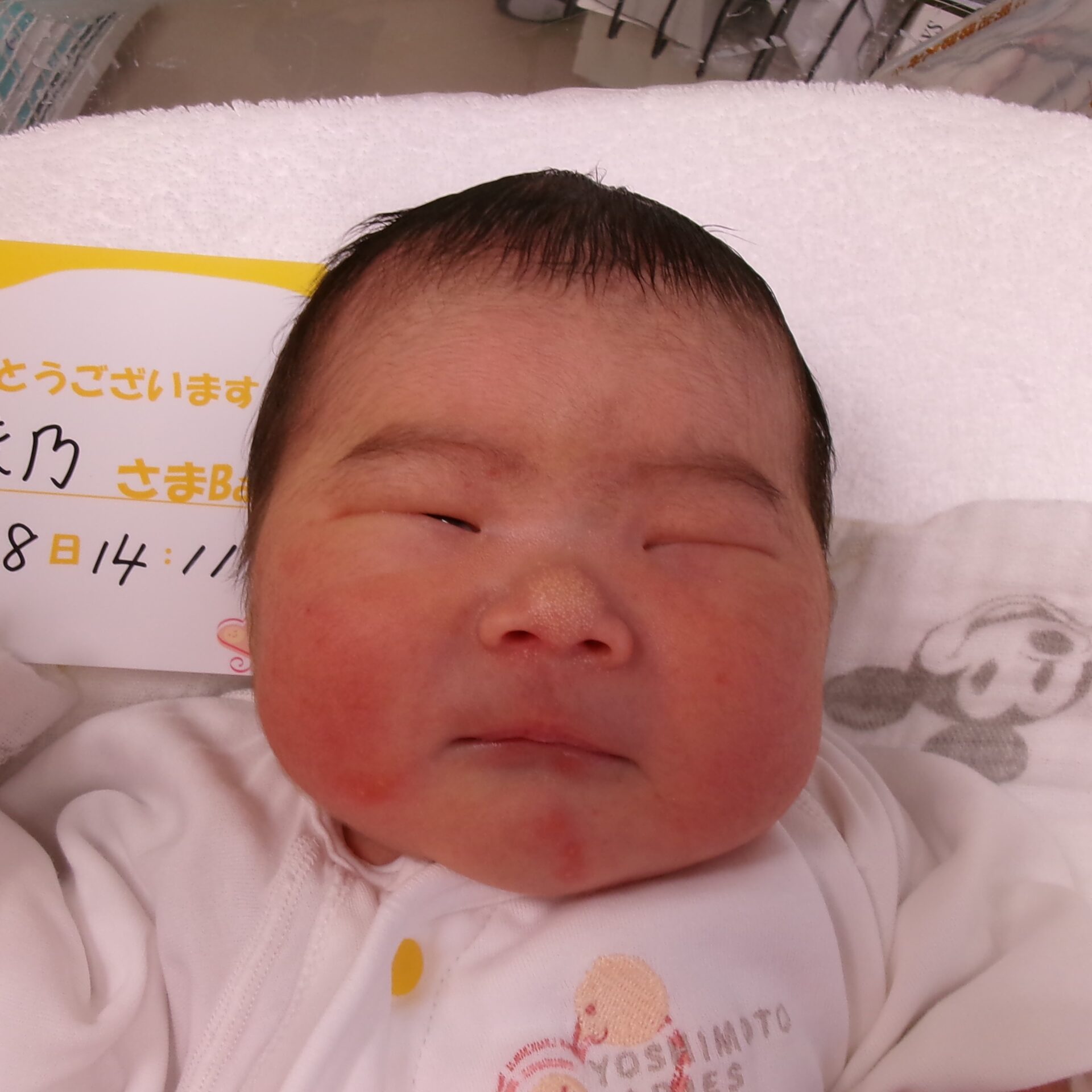 森下彩乃サマBaby♀