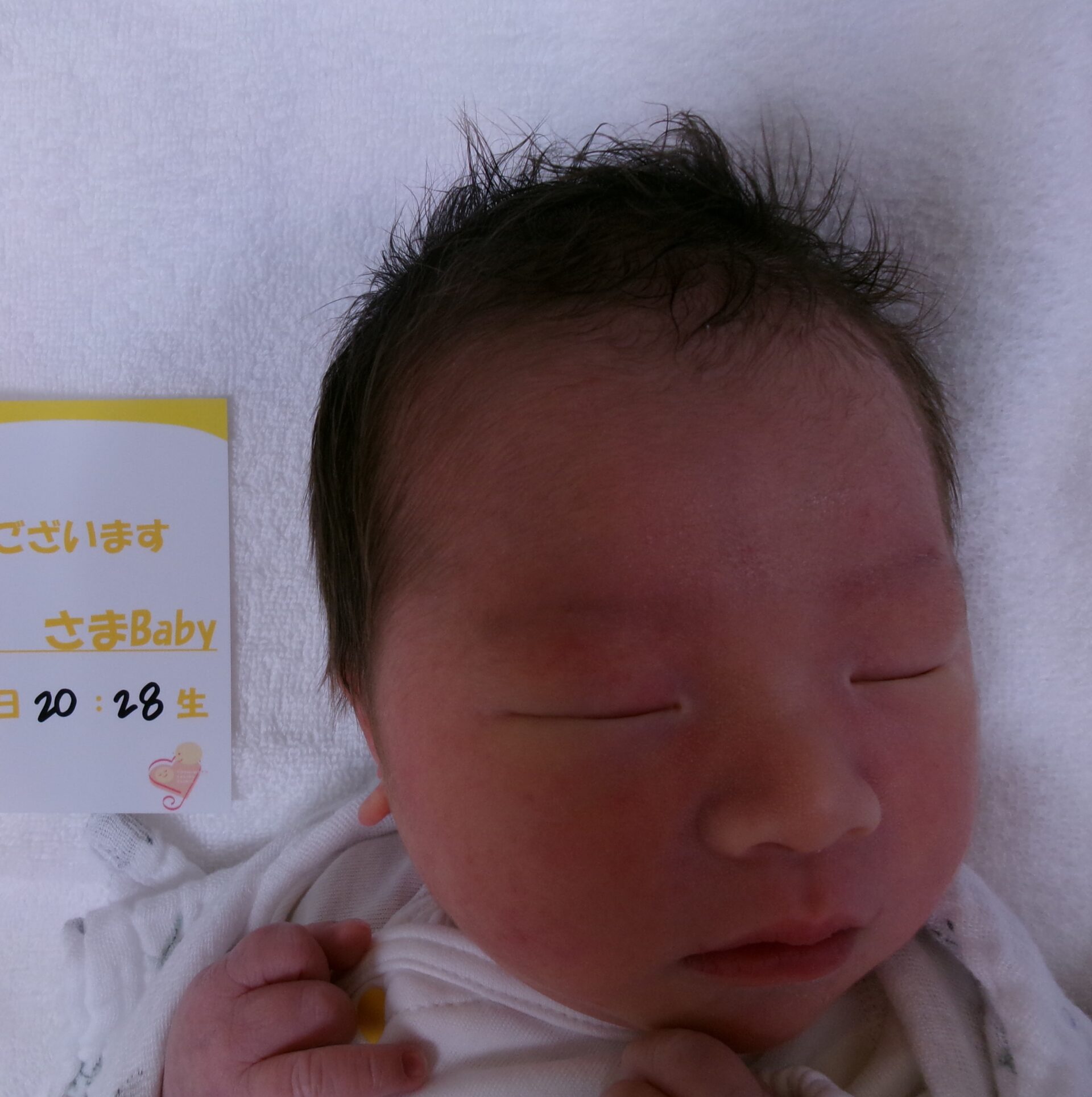 澤田千琴サマBaby♂