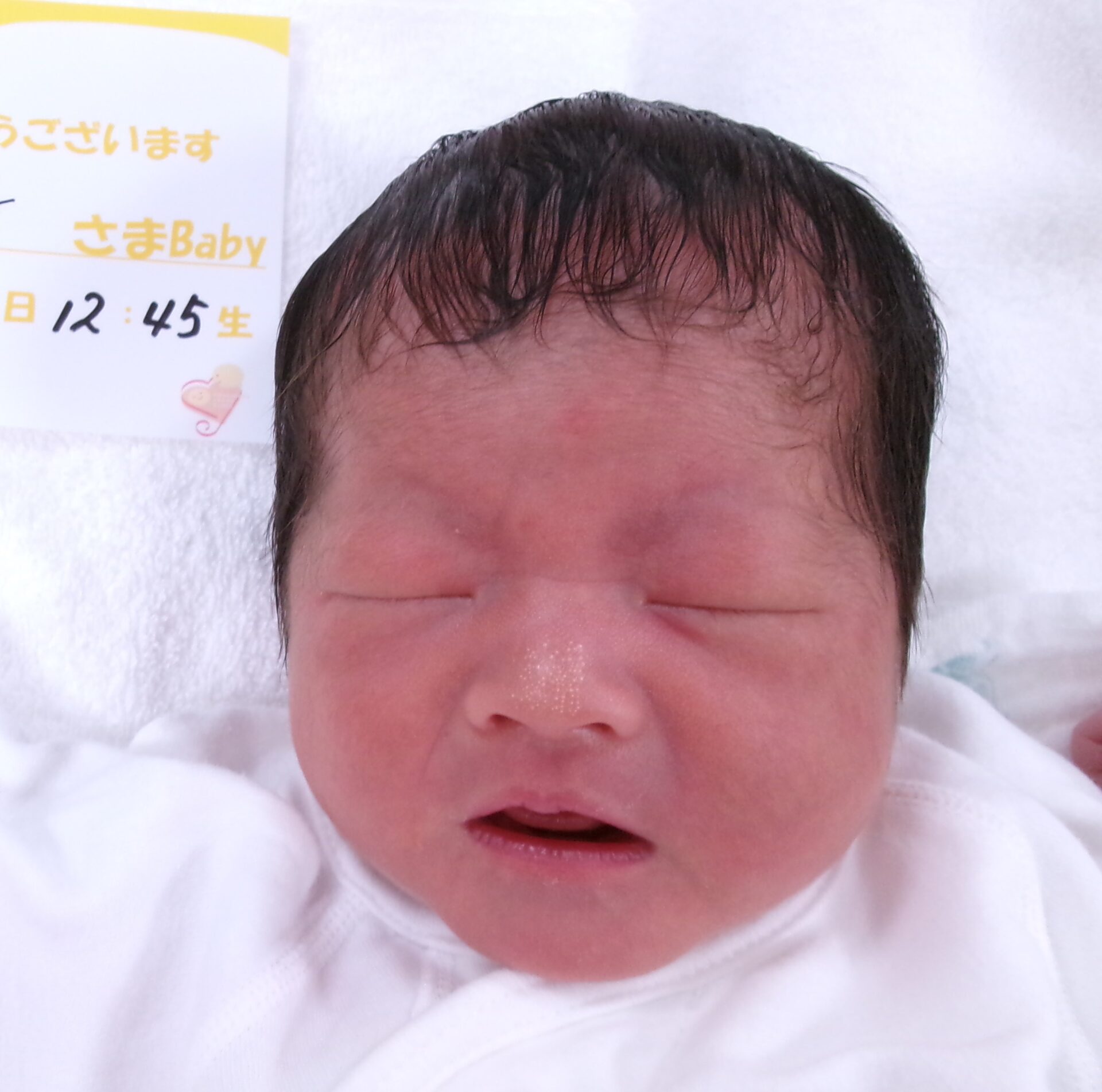 田中奈保子サマBaby♀
