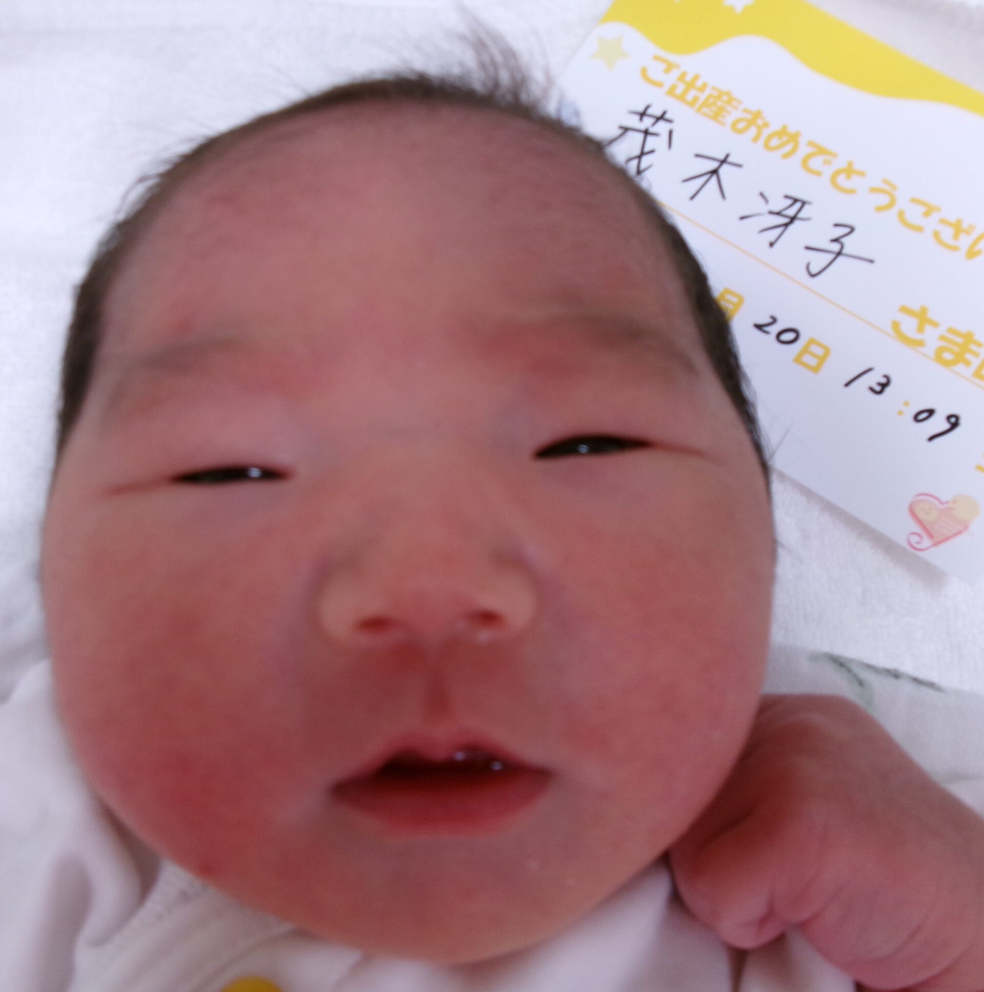 茂木冴子サマBaby♀