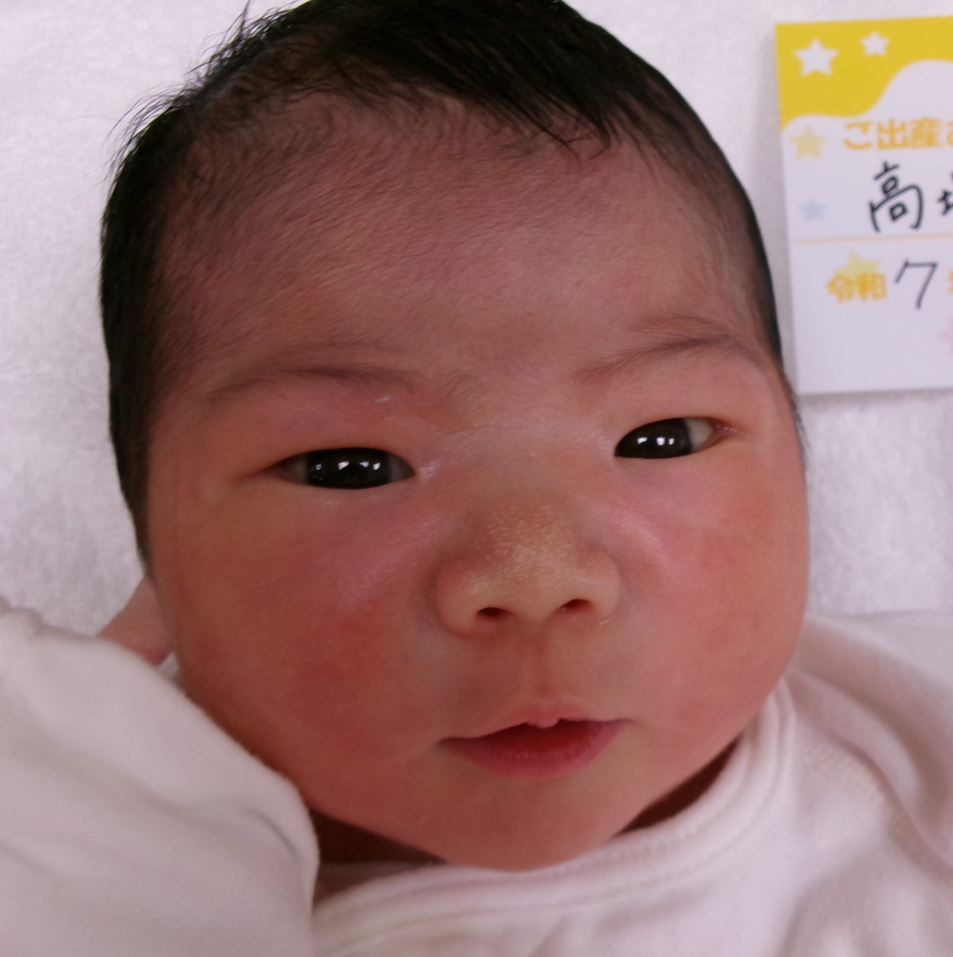 高塚紫巳サマBaby♀